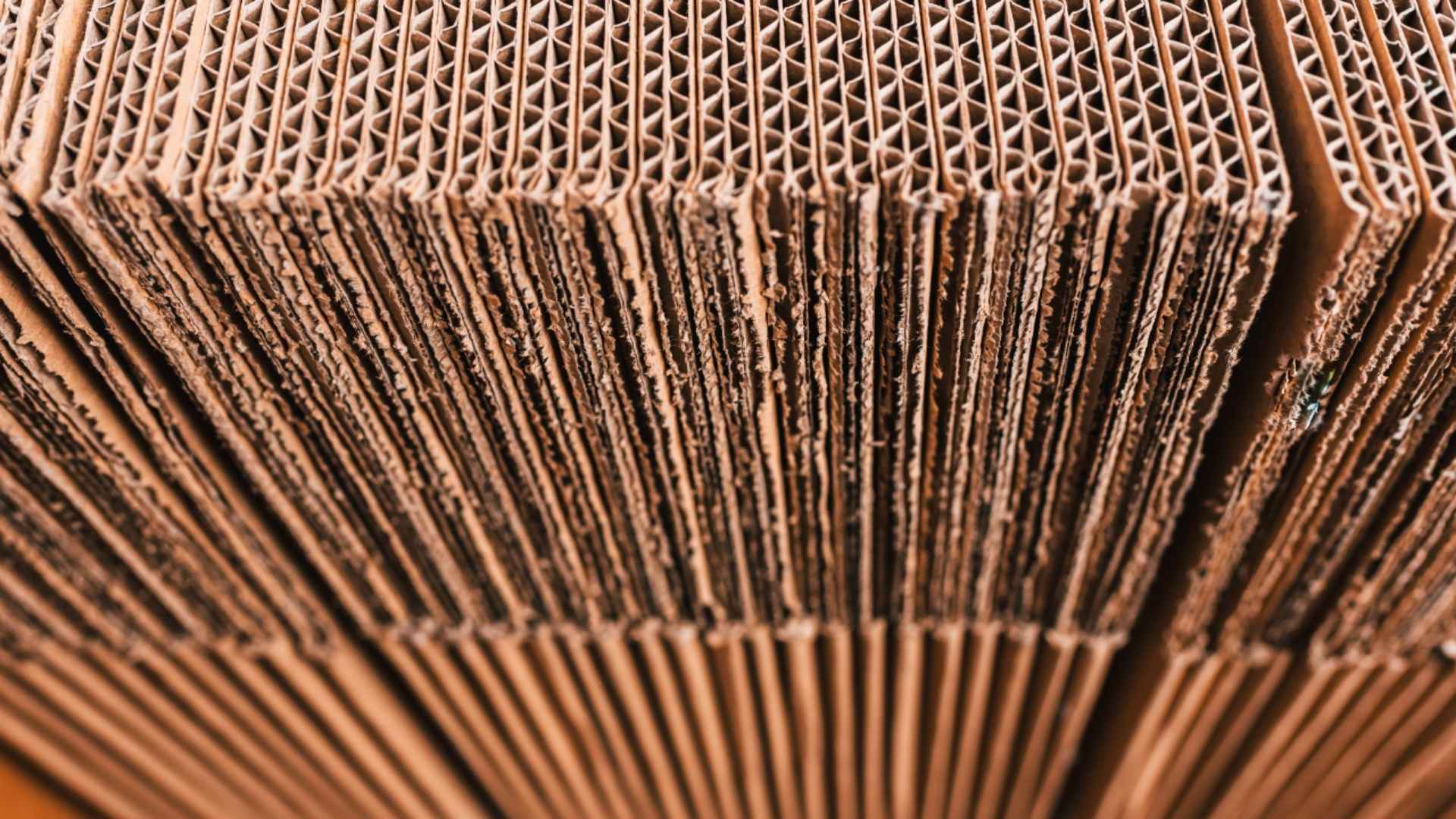 BRANOperl Trennpapier in der Wellpappenproduktion, eingesetzt zur Vermeidung von Anhaftungen und für saubere Verarbeitungsergebnisse.